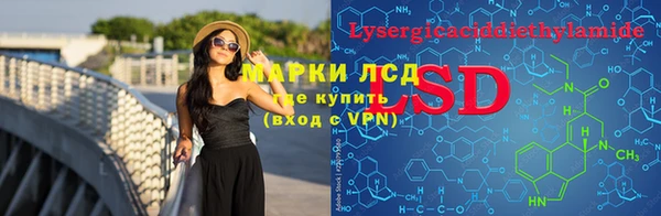 стаф Балахна