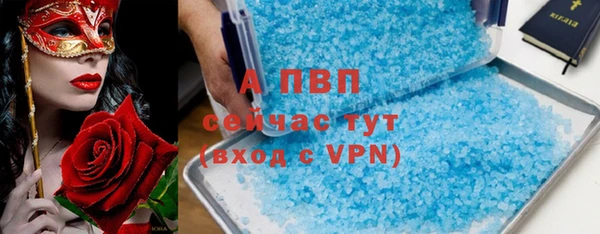стаф Балахна