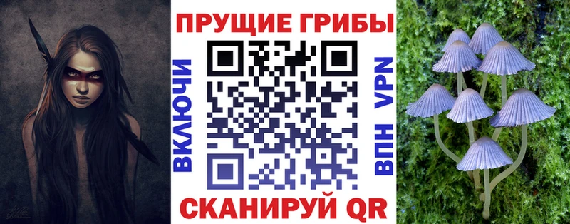 Галлюциногенные грибы Magic Shrooms  Новоуральск 